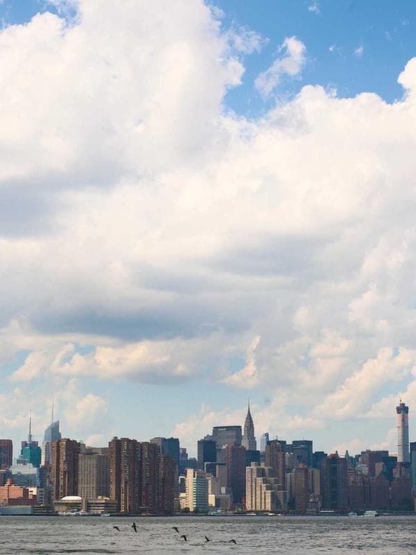 Camiseta Básica Pack x3