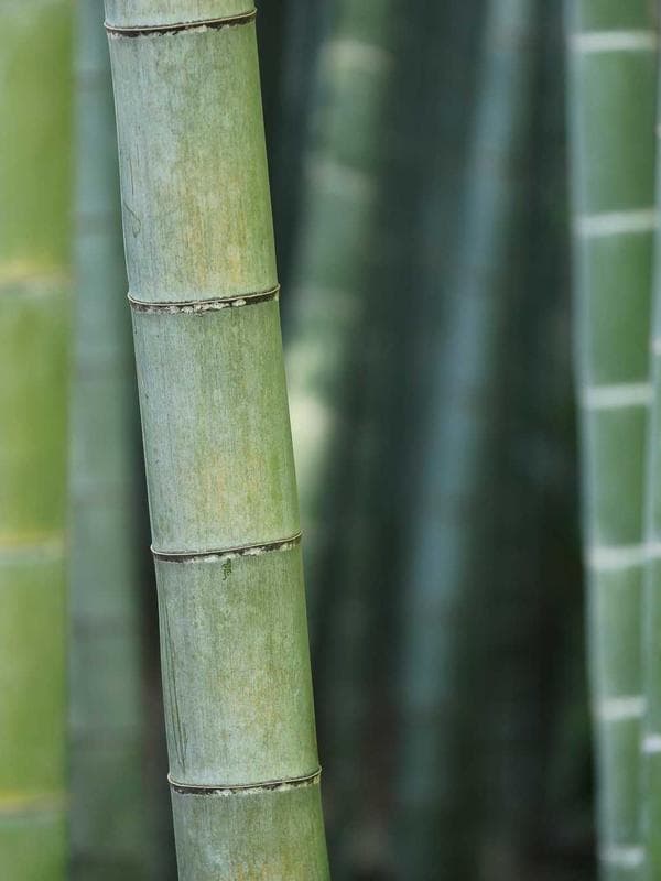 Chaqueta Denim Oversize