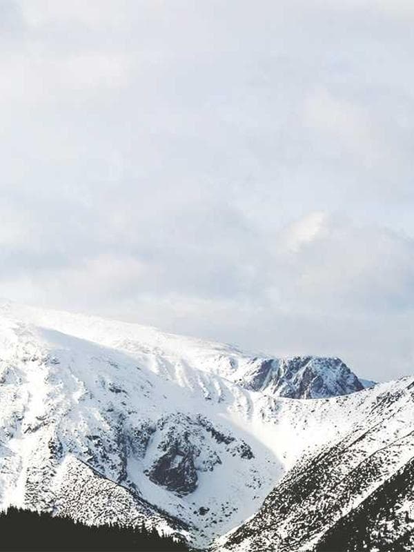 Jogger Deportivo Niño