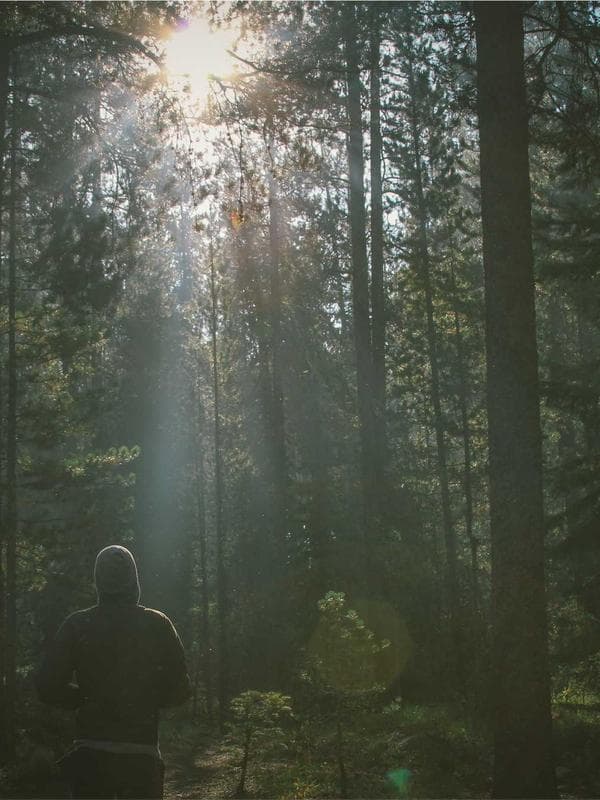 Pantalón Chino Slim