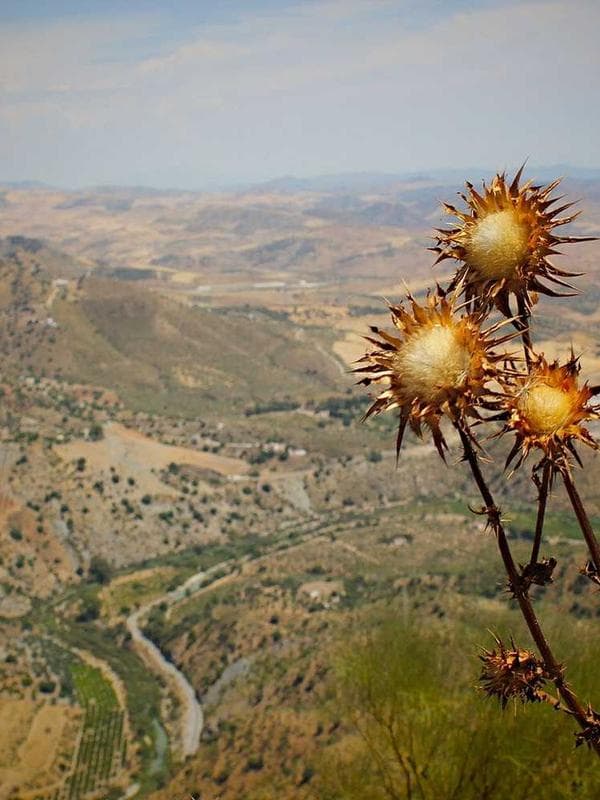 Vestido Princesa Niña